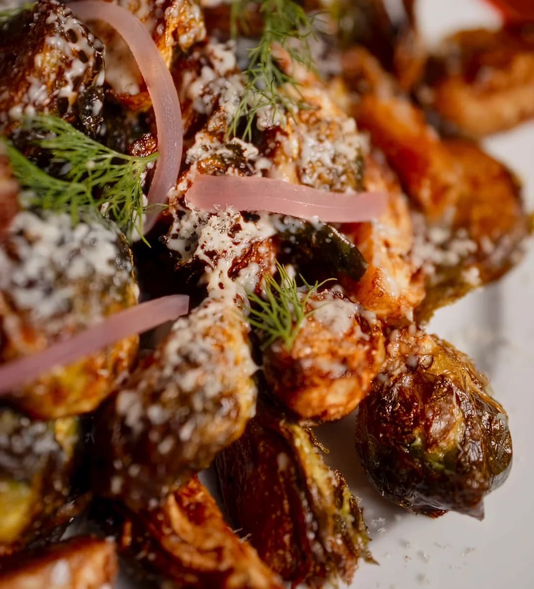 Crisped brussels sprouts under shaved cheese, pickled red onion and dill on an Amélie red-rimmed plate